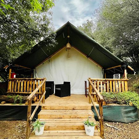New Camping Coccorrocci Marina di Gairo Екстериор снимка