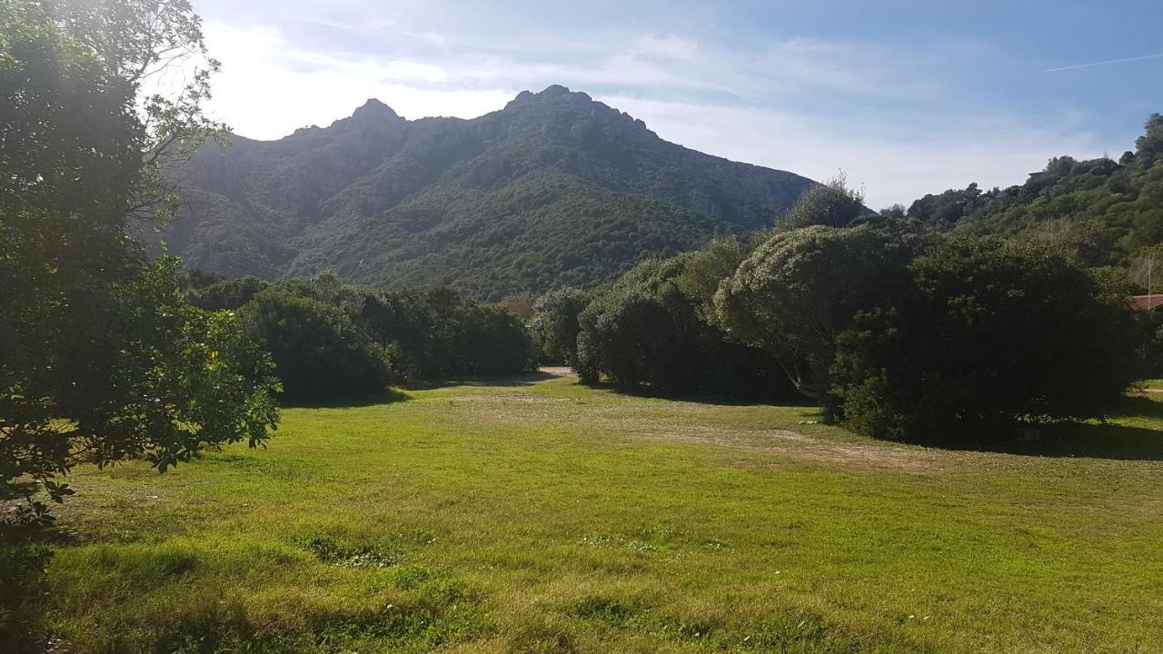 New Camping Coccorrocci Marina di Gairo Екстериор снимка