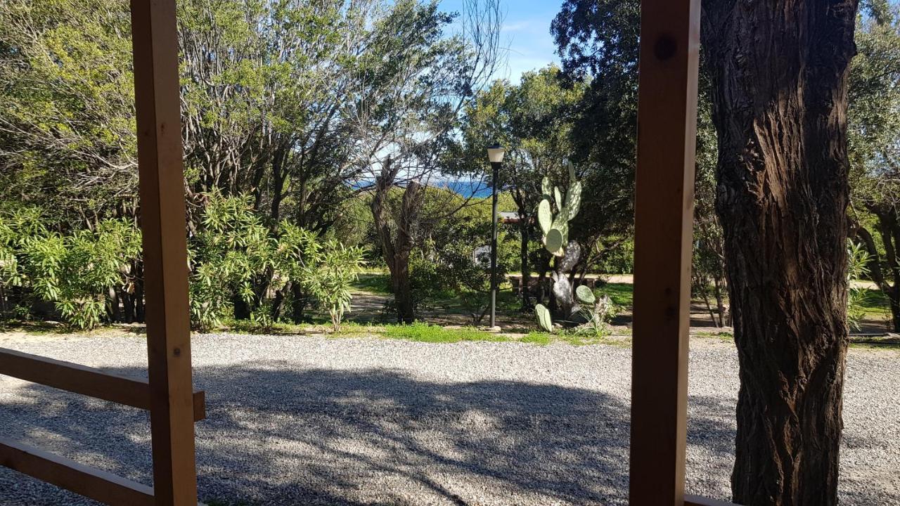 New Camping Coccorrocci Marina di Gairo Екстериор снимка
