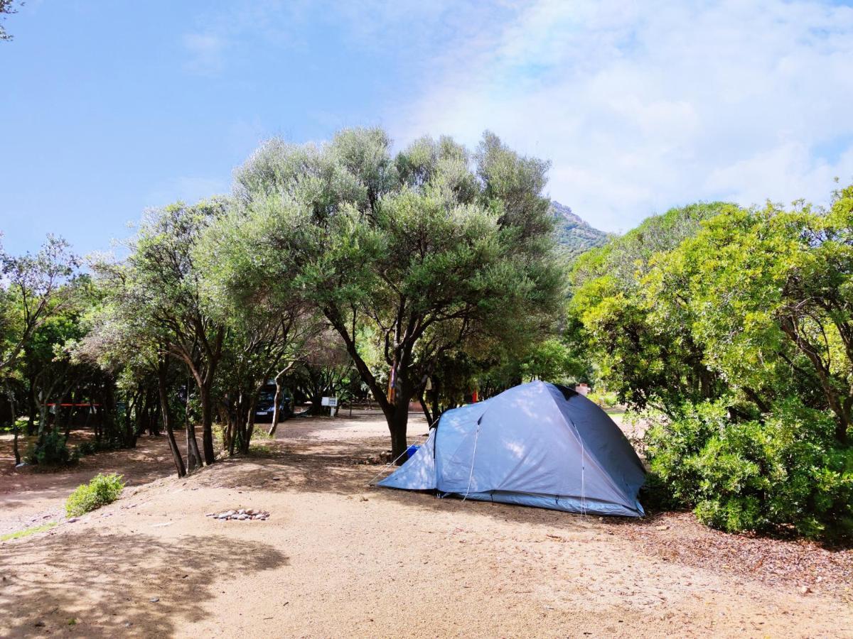 New Camping Coccorrocci Marina di Gairo Екстериор снимка
