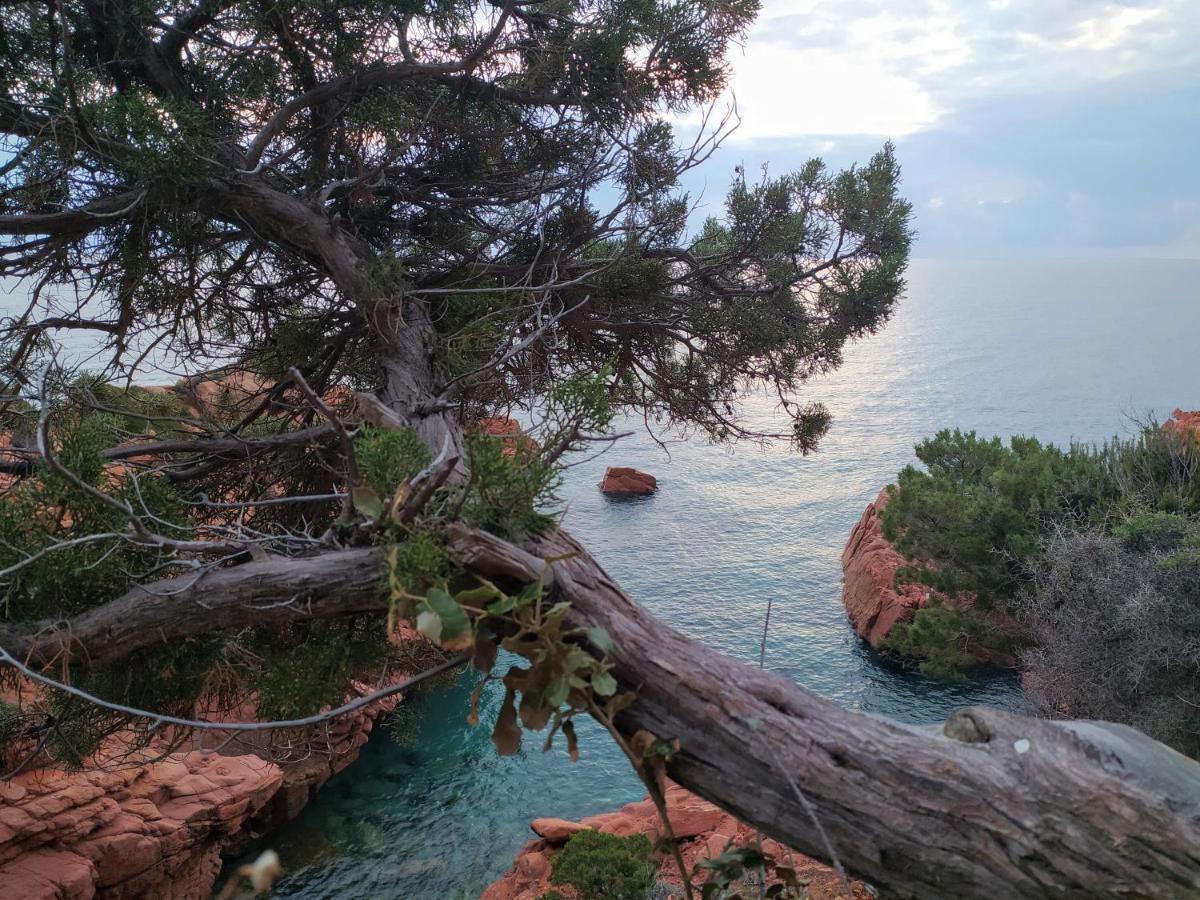 New Camping Coccorrocci Marina di Gairo Екстериор снимка