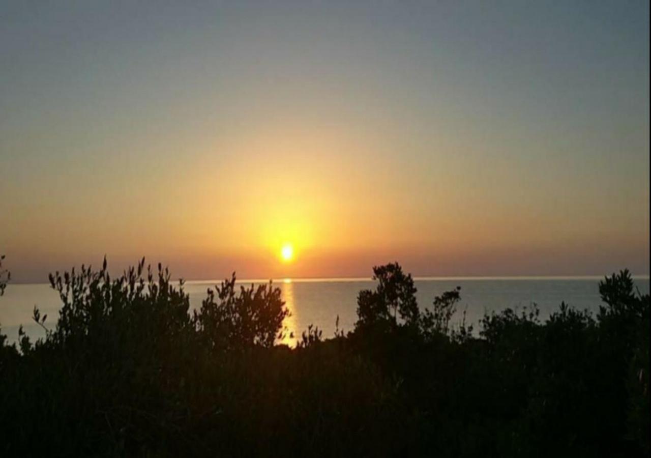 New Camping Coccorrocci Marina di Gairo Екстериор снимка